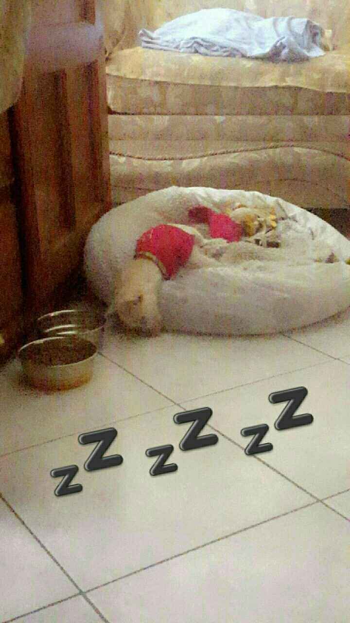 NWR - I'm a first time Auntie!