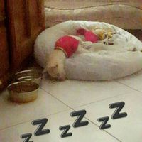 NWR - I'm a first time Auntie!