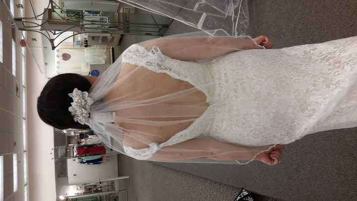 VOTE: To Veil or Not to Veil?