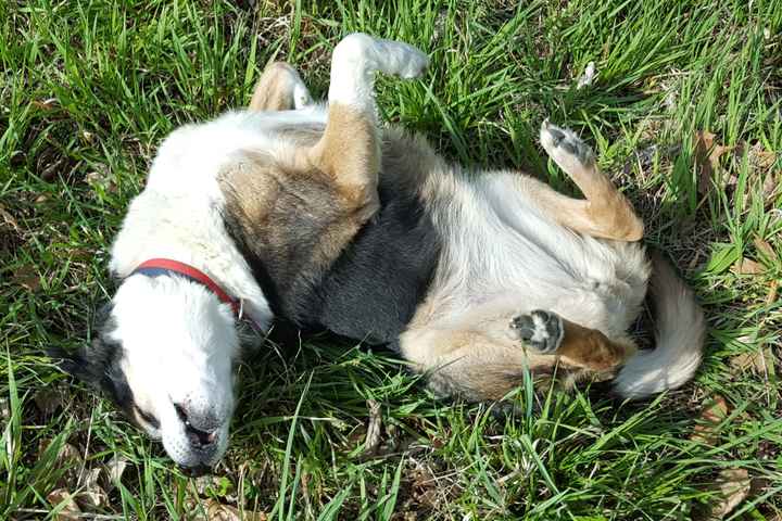 NWR:  Thursday Fursday