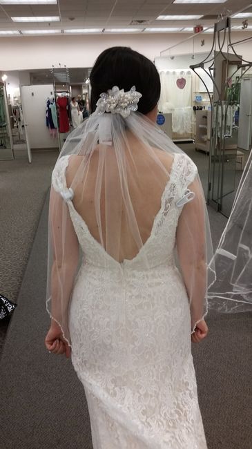 Show me your Veils