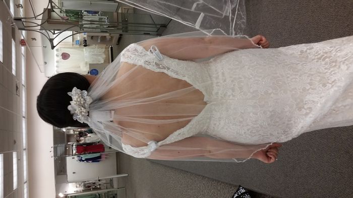 VOTE: To Veil or Not to Veil?