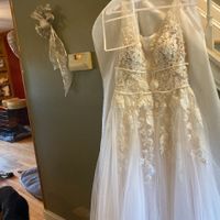 Dress nightmare! Please help! - 2