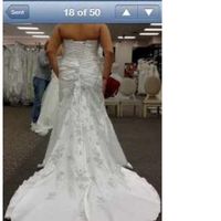 Need help choosing shoes!!!