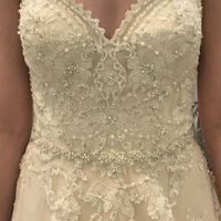 ***UPDATE PG 4*** Sleeping on it, but my heart says YES!!!