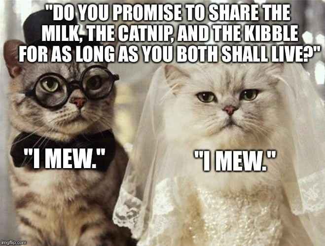 Funny Wedding Memes :D