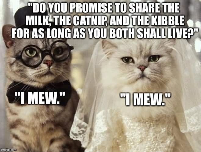 Funny Wedding Memes :D
