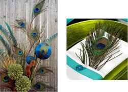 Centerpiece issue
