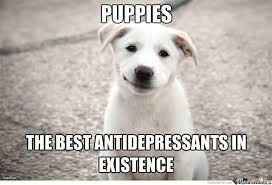 NWR: I got an early birthday present! It's a girl..puppy