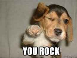 #petlife - pet memes & furbaby pictures!