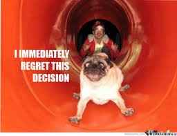 #petlife - pet memes & furbaby pictures!