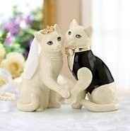 Spinoff - Cat wedding!