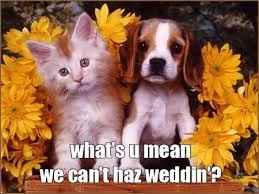 Dear Remi and Killian: