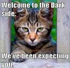 Please Welcome....!