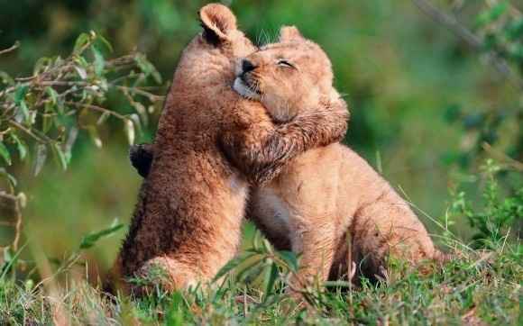 NWR: Let's make each other laugh....