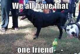 NWR: Let's make each other laugh....