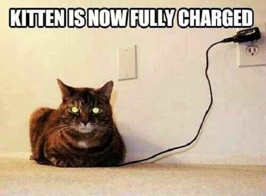 Wedding Invitations