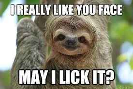 Is anything snark free these days?