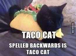 I got your taco!