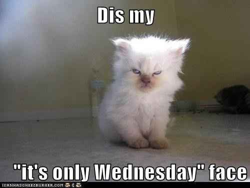 Because it's the middle of Wednesday ... MEME