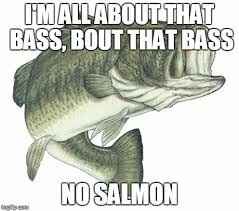 Ask the Mods