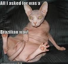 Brazilian?