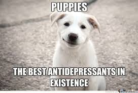 NWR: I got an early birthday present! It's a girl..puppy