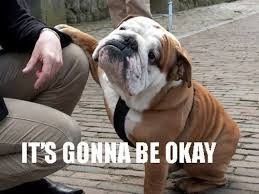 Waiting for Pro Pics