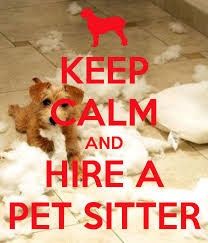NWR: House/dog sitter VENT