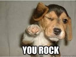 #petlife - pet memes & furbaby pictures!