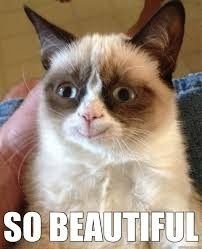 So that BAM post - Emmy changed her avatar, she's not a cat.
