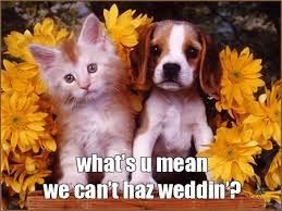 Dear Remi and Killian: