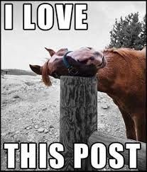 NWR: Let's make each other laugh....