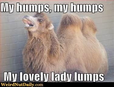 NWR: Let's make each other laugh....