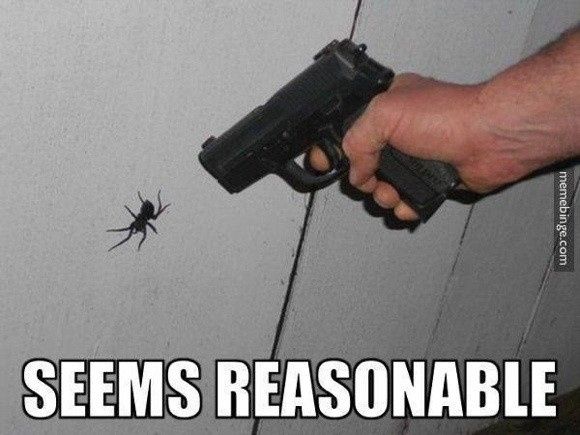 WTF Wednesday