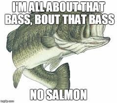 Ask the Mods