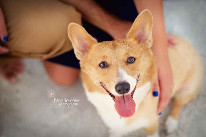 NWR.......FUR BABIES!!!!