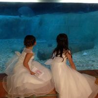 Mini BAM with non-pro pics!!!!!! **UPDATED Video link in comments!!**