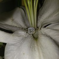 What shape is your stone? 💎 - 1