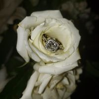 What shape is your stone? 💎 - 2