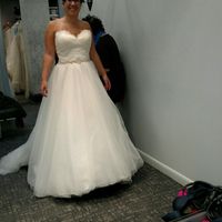 Any size 12/14 brides care to share?