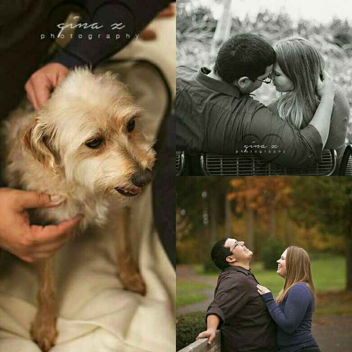 Engagement pictures!