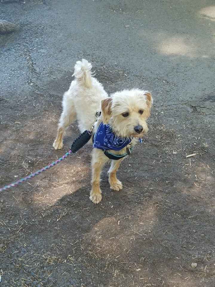 NWR: National Dog Day!