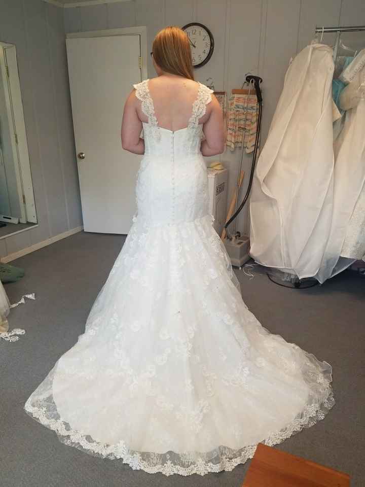 Dress size 14 - Street Size 12. Dress pics??