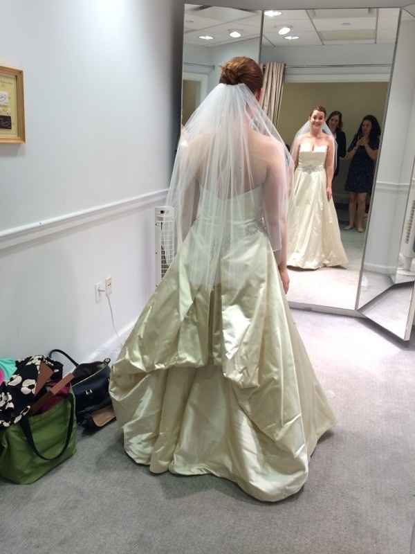 To Veil or Not to Veil?