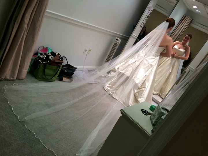 To Veil or Not to Veil?