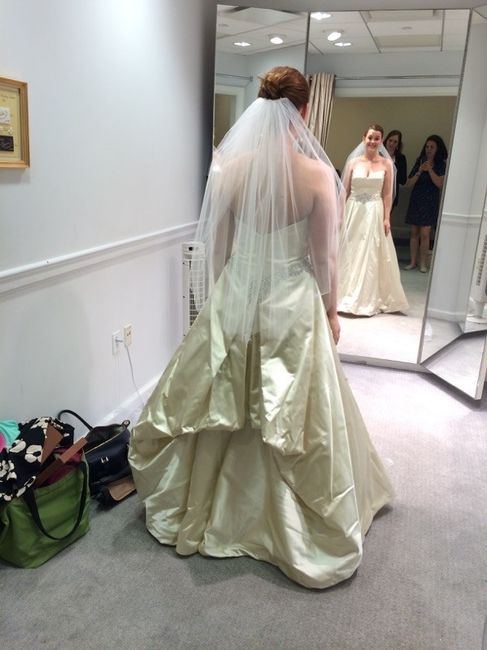 To Veil or Not to Veil?