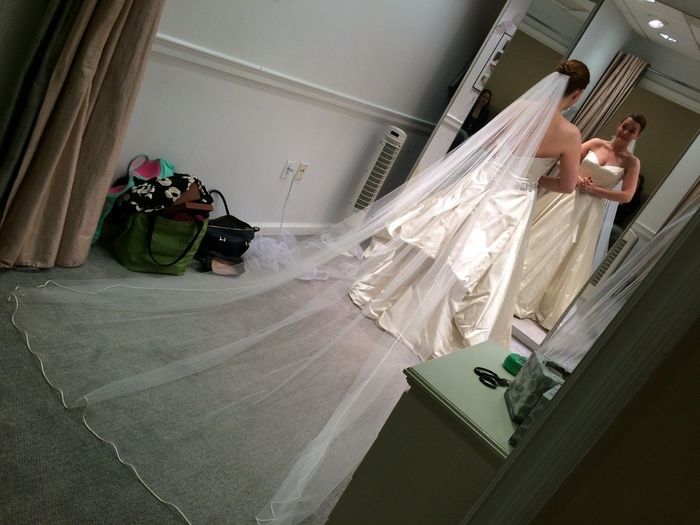 To Veil or Not to Veil?