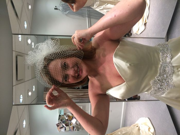 To Veil or Not to Veil?