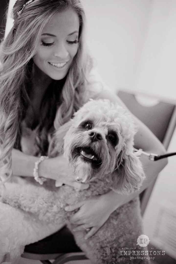 Will your Fur Baby be in your Wedding????